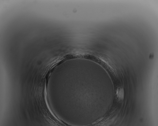 X0000098001348200804011823