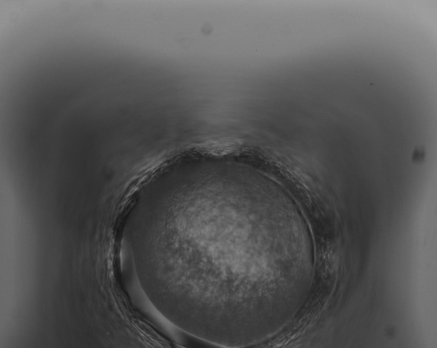 X0000098001349200804011823