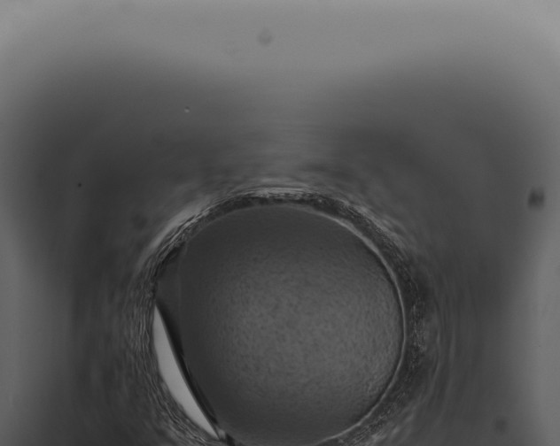 X0000098001351200804011823