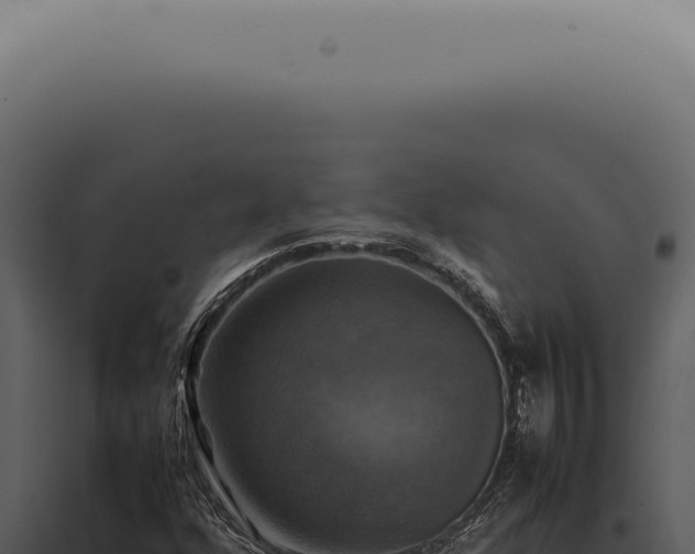 X0000098001352200804011823
