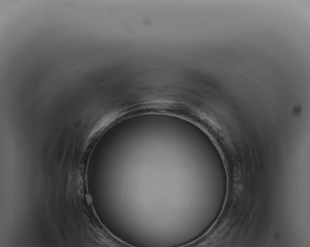 X0000098001354200804011823
