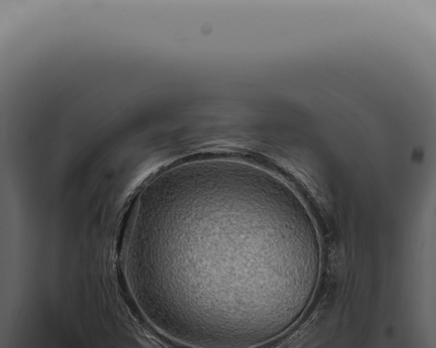 X0000098001355200804011823