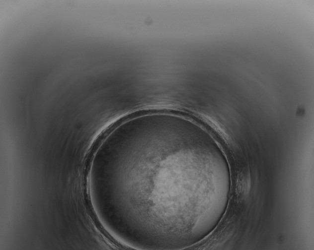X0000098001356200804011823