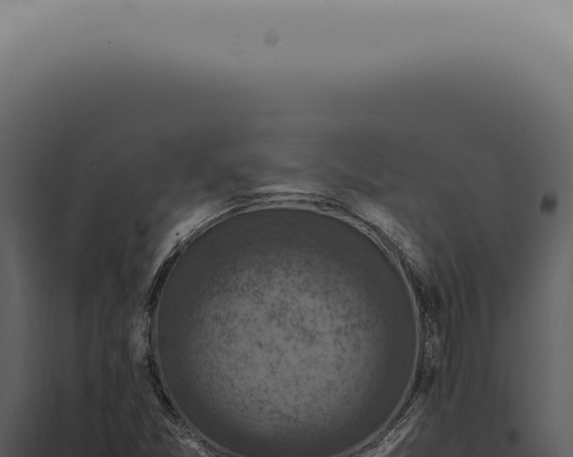X0000098001357200804011823