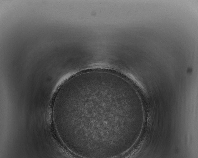 X0000098001358200804011823
