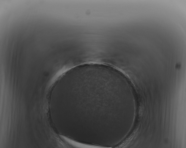 X0000098001359200804011823