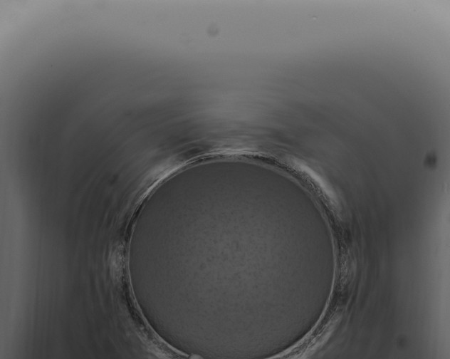 X0000098001361200804011823