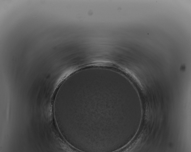 X0000098001362200804011822