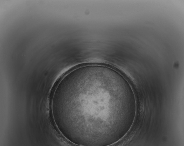 X0000098001364200804011822