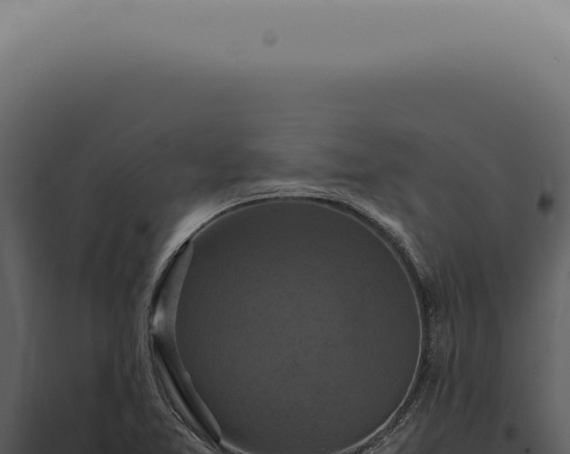 X0000098001365200804011822