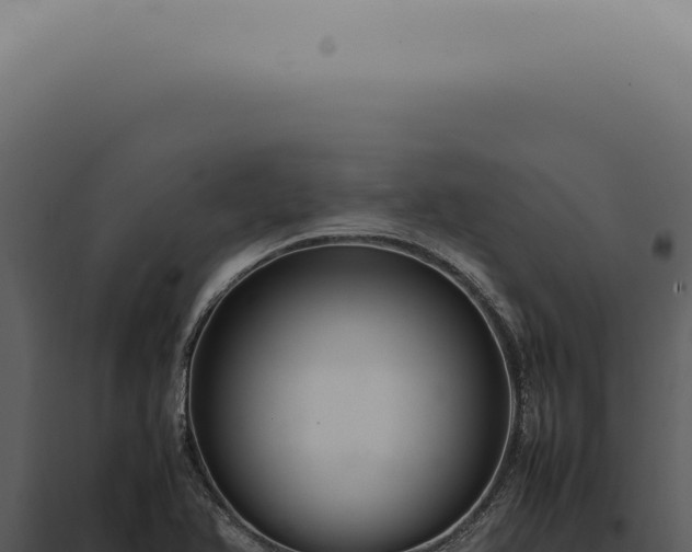 X0000098001366200804011822