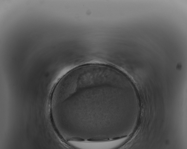 X0000098001367200804011822
