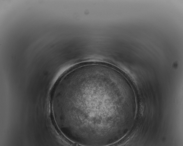 X0000098001368200804011822