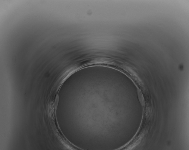 X0000098001369200804011822