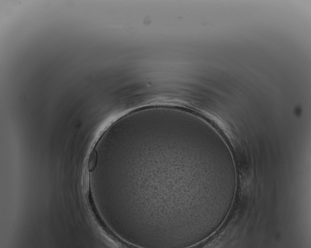 X0000098001371200804011822
