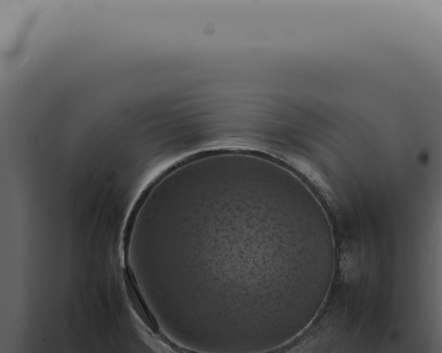 X0000098001372200804011822