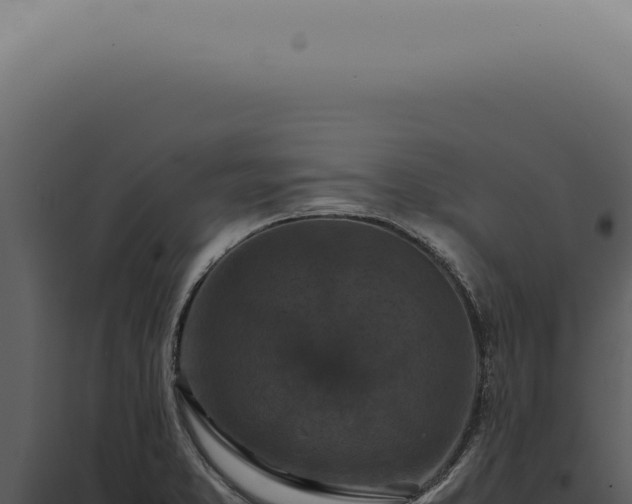 X0000098001373200804011822