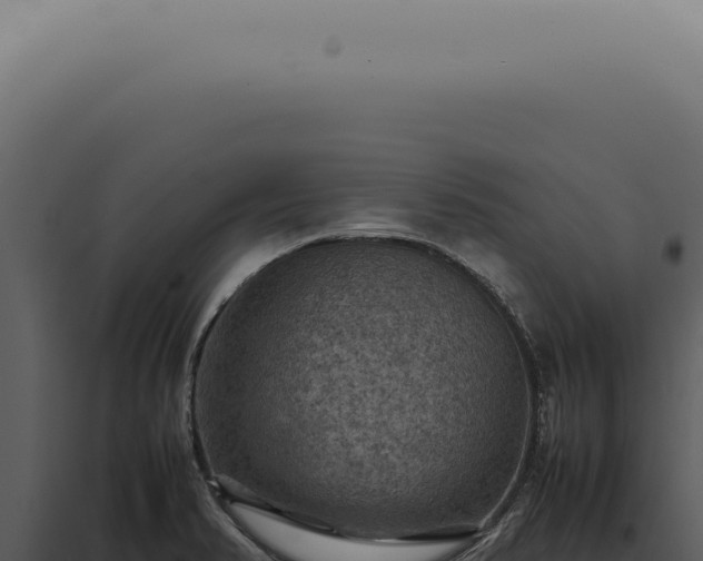 X0000098001374200804011822