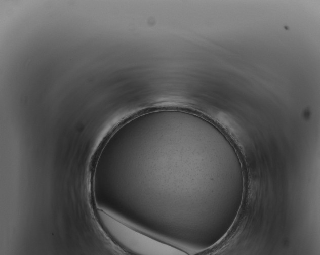 X0000098001376200804011822