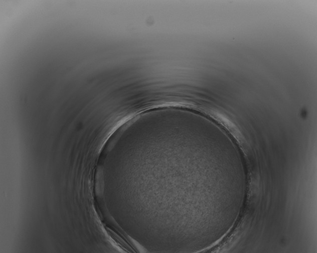 X0000098001377200804011822