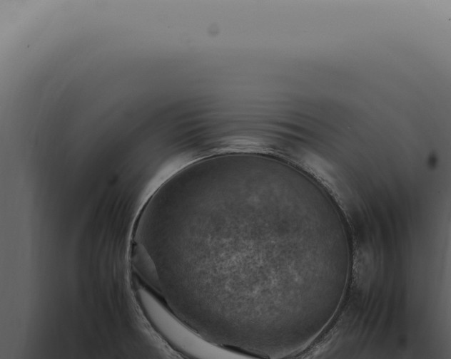X0000098001378200804011822