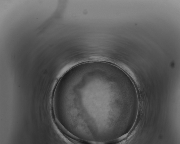 X0000098001381200804011822