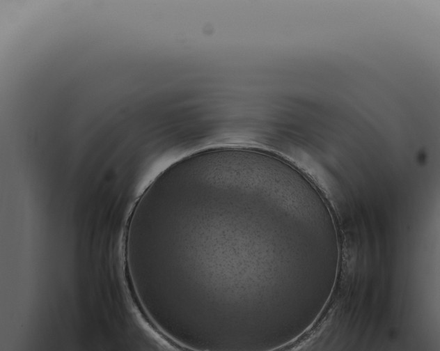 X0000098001382200804011822