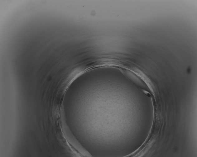 X0000098001385200804011822