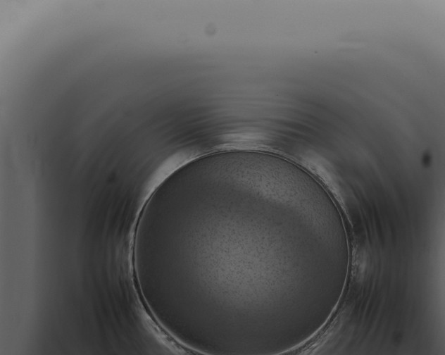 X0000098001386200804011822