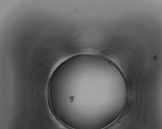 X0000098001387200804011822