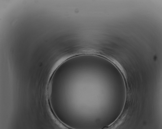 X0000098001389200804011822