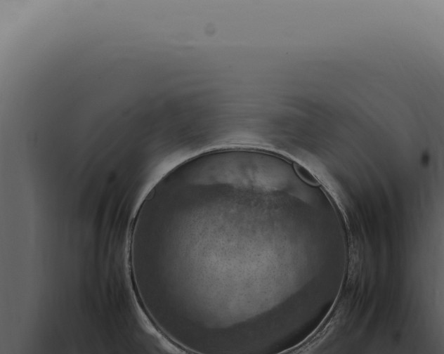 X0000098001390200804011822
