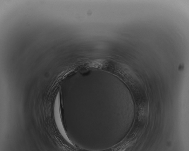 X0000098001394200804011821