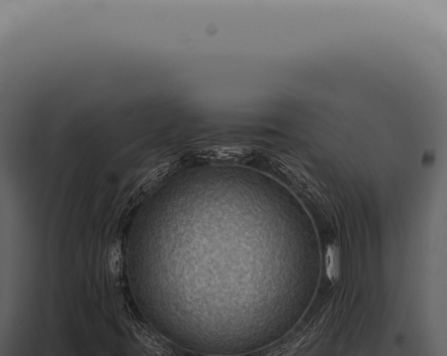 X0000098001395200804011821