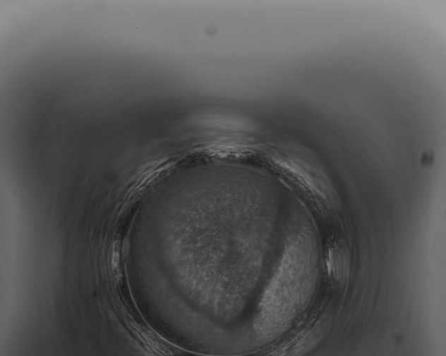 X0000098001396200804011821