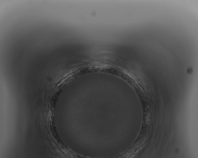 X0000098001397200804011821