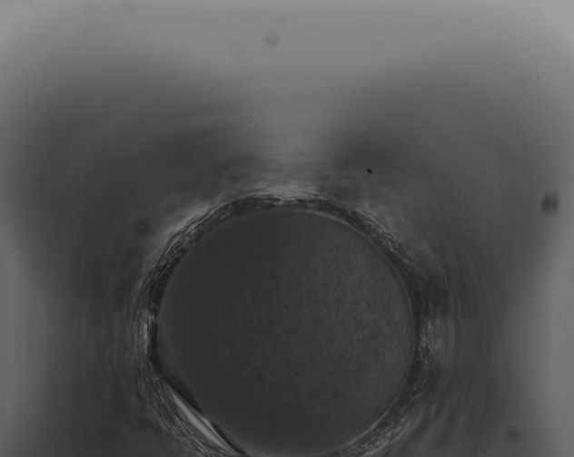 X0000098001398200804011821