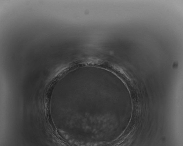 X0000098001399200804011821