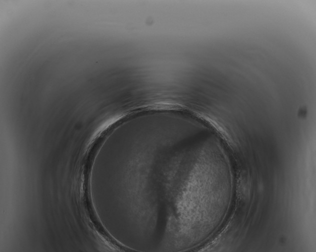 X0000098001402200804011821