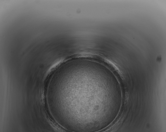 X0000098001403200804011821