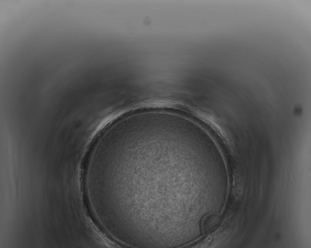 X0000098001404200804011821