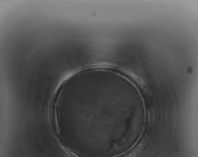 X0000098001405200804011821
