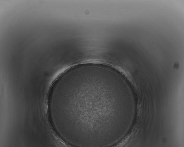 X0000098001406200804011821