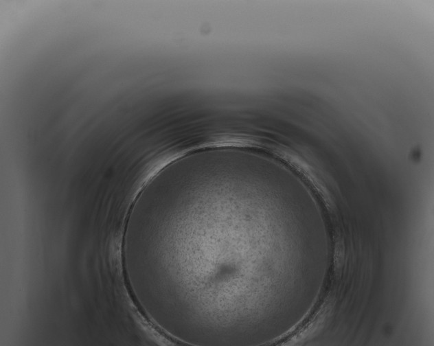 X0000098001417200804011822