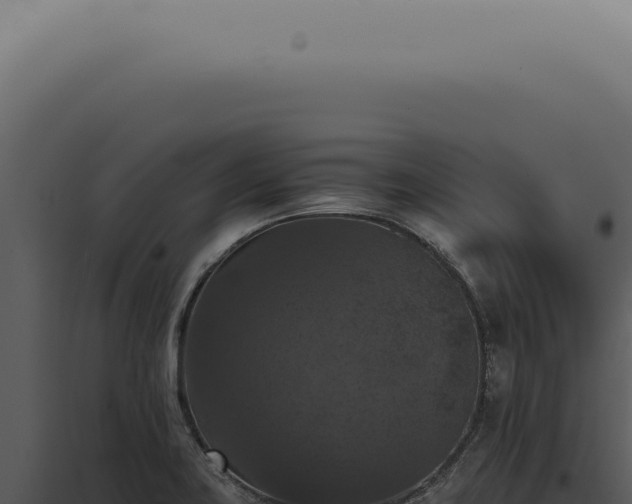 X0000098001419200804011822