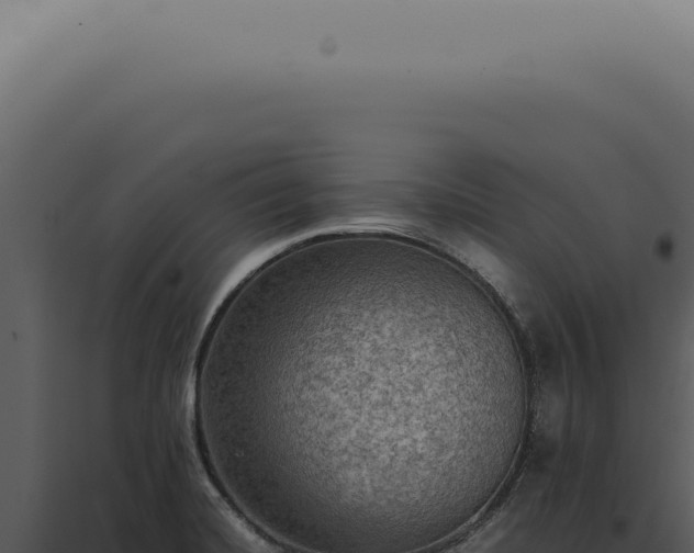 X0000098001420200804011822