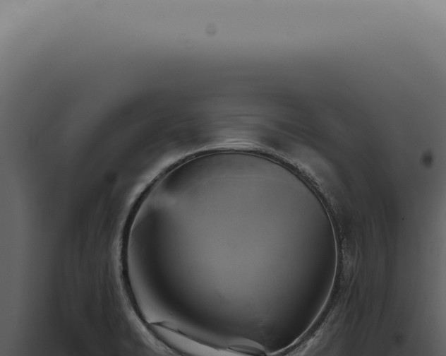 X0000098001422200804011822
