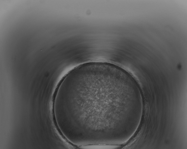X0000098001424200804011822