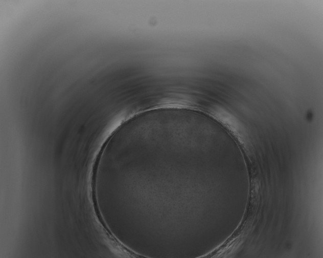 X0000098001427200804011822