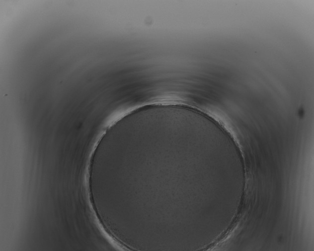 X0000098001429200804011822